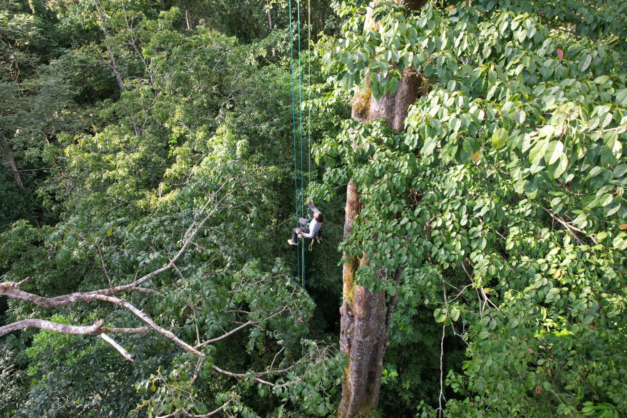 Corcovado Wilderness Lodge By Scp San Pedrillo Экстерьер фото