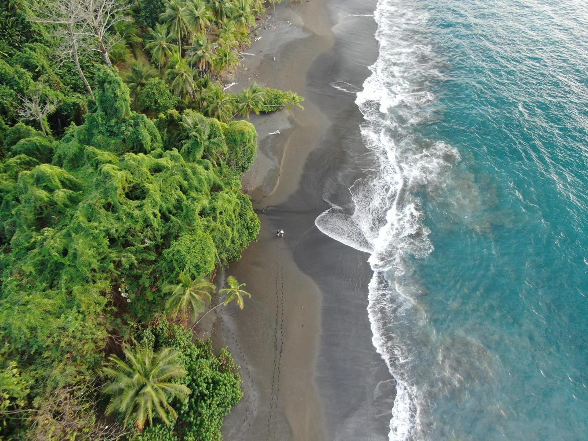 Corcovado Wilderness Lodge By Scp San Pedrillo Экстерьер фото