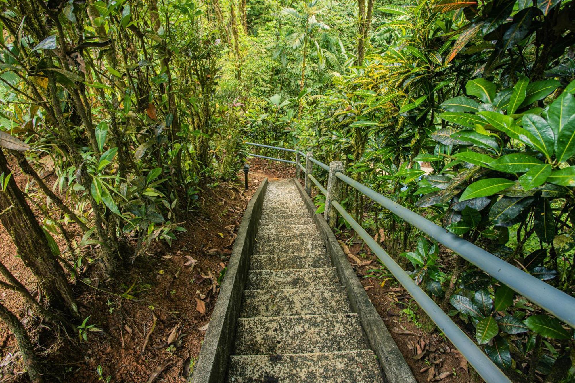 Corcovado Wilderness Lodge By Scp San Pedrillo Экстерьер фото
